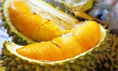 Malaysia Gifts 43 Fresh Durians to China as Part of "Durian Diplomacy" - World Of Buzz