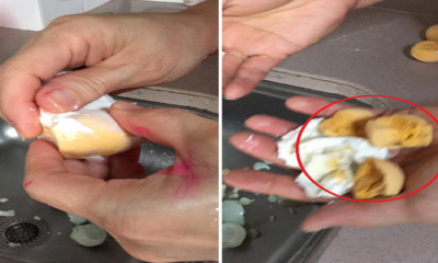 Singaporean Girl Discovers There's Not Only Fake Eggs for Sale But Fake Salted Eggs Too - World Of Buzz 4