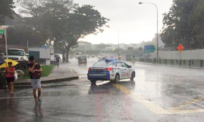 "Take It!" Kind Singaporean Man Tells Pregnant Lady As He Passes an Umbrella - World Of Buzz 6