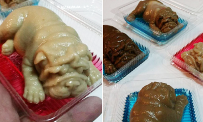 Thai Dessert Shop Creates Viral Puppy-Shaped Puddings, Causes Netizens to Have Mixed Reactions - World Of Buzz 6