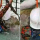Turtle Trapped in Port Dickson Power Station Rescued by Firemen - World Of Buzz 2