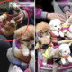 Viral Video Shows Puppies Tightly Wrapped in Cloths are Sold Like Toys on Street - World Of Buzz 1
