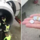 Chinese Woman Throws Coins into Plane Engine for 'Good Luck', Causes 5 Hour Delay - World Of Buzz 3