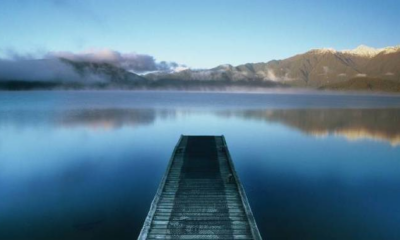 New Zealand is Welcoming International Students and Workers Due to Dwindling Population - World Of Buzz 2