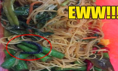 Singaporean Found Millipede in Mee Hun at Clifford Centre Vegetarian Stall - World Of Buzz