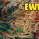 Singaporean Found Millipede in Mee Hun at Clifford Centre Vegetarian Stall - World Of Buzz
