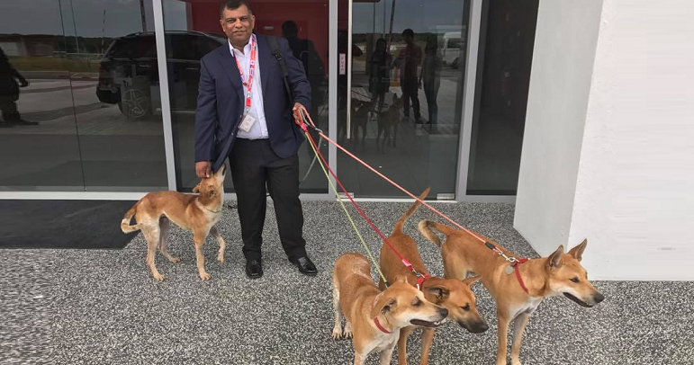 Tony Fernandes Reveals Names of Four Adorable Stray Dogs Adopted by AirAsia - World Of Buzz 6