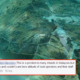 Turtle Killed by Boat Propeller in Pulau Perhentian, Netizens Upset Over Negligence - World Of Buzz 6