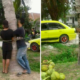 Villagers Catch Two Men Stealing Coconuts, Ties Them to Tree as Punishment - World Of Buzz 4