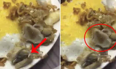Viral Video Shows Worm 'Dancing' on Raw Chicken at Famous Banana Leaf in Bangsar - World Of Buzz
