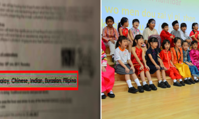 Filipino Listed Among Major Races in Racial Harmony Event, Netizens Unsure What to Feel - World Of Buzz 3