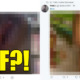 KL Traffic Update's Twitter Retweets Porn, Malaysian Netizens Confused - World Of Buzz 15