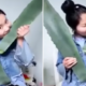 Lady Live Streams Herself Eating 'Aloe Vera', Almost Dies - World Of Buzz