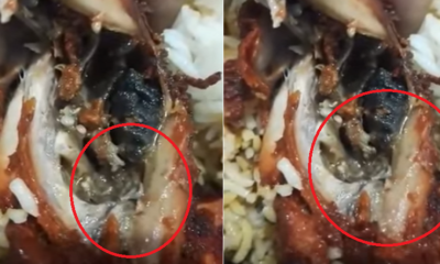 Malaysian Lady Disgustingly Finds Worms Wriggling in Fried Chicken from Kuantan Mamak - World Of Buzz 2