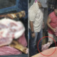 Malaysian Man Arrested for Selling Dog Meat at Local Food Stall - World Of Buzz 2