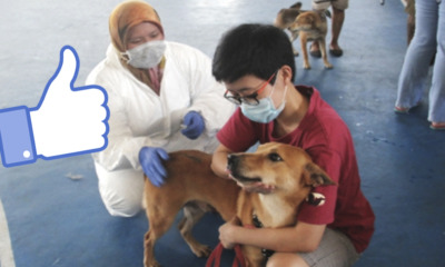 Malaysians Salute Muslim Veterinary Officers For Holding Dogs to Vaccinate Them - World Of Buzz
