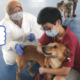 Malaysians Salute Muslim Veterinary Officers For Holding Dogs to Vaccinate Them - World Of Buzz