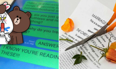 Reading Wife's Texts and Not Replying are Grounds for Divorce - World Of Buzz 2