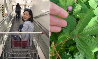 20 signs you're an adult but still a kid at heart - World Of Buzz 25