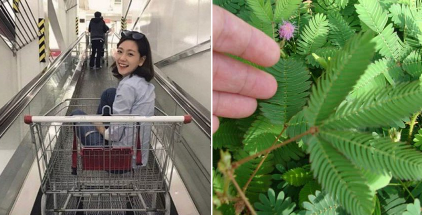 20 signs you're an adult but still a kid at heart - World Of Buzz 25