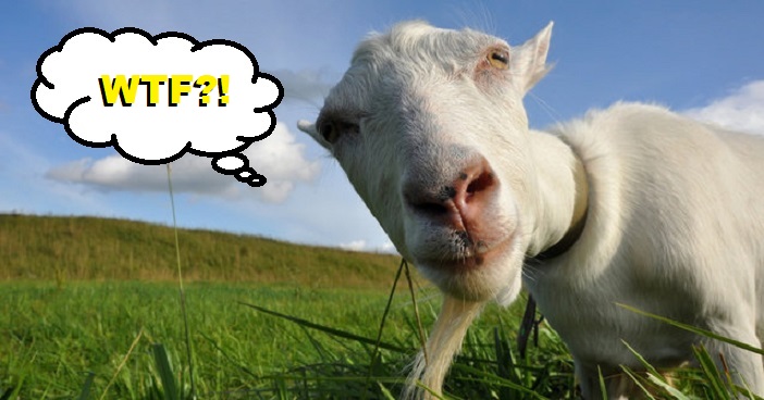 3 Indonesian Boys Sexually Abuse Friends and a Goat after Watching Porn - World Of Buzz 4