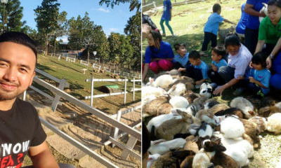 Malaysian University Graduate Made RM300k in a Year from Starting a Rabbit Petting Zoo - World Of Buzz 3