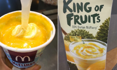 Malaysians Can Get D24 Durian McFlurry at McD Starting From August 24! - World Of Buzz