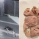M'sian Girl Suspects Neighbours Tried to Poison Her Dog After Discovering Suspicious Meat - World Of Buzz 3