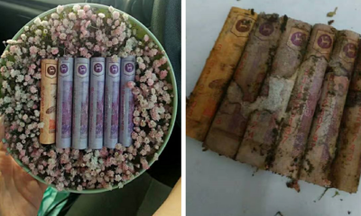 M'sian Shares What Happens to Banknotes After She Leaves Them in a Box with Flowers - World Of Buzz 4