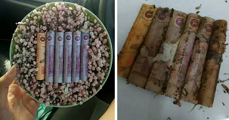 M'sian Shares What Happens to Banknotes After She Leaves Them in a Box with Flowers - World Of Buzz 4