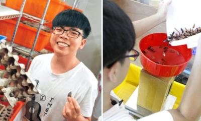 This 20-Year-Old Uni Student Makes RM28k Per Month By Farming Cockroaches - World Of Buzz