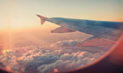 This Dream Job Will Pay You To Drink Whisky and Travel the World! - World Of Buzz 3