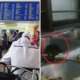 Video of Rat Eating Food Allegedly in Klang Hospital Cafeteria Upsets Netizens - World Of Buzz 5