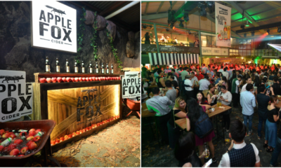 #WhatTheFox are Malaysians Getting So Excited About?! - World Of Buzz 1