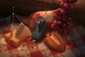 Rats 4