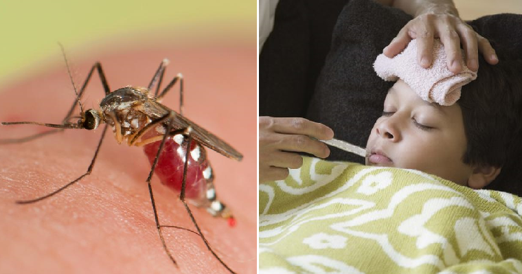 Experts Warn of Deadly Super Malaria Spreading Through Southeast Asia - WORLD OF BUZZ 4