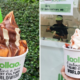 Popular Frozen Yoghurt Brand, llaollao, is Having Discounts Up to 33% this September 2017! - World Of Buzz