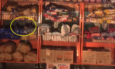 Rats Spotted Getting Comfy on Bread Racks at Famous Local Mart - World Of Buzz