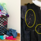 Study Shows Bed Bugs are Attracted to Dirty Laundry, Here's How to Avoid Them - WORLD OF BUZZ