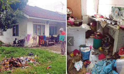 5 Children Lives in this House with Their Parents and 4 Other Adults - WORLD OF BUZZ 3