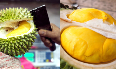 Bentong, Famous For Musang King Durian Chosen to Hold Global Durian Festival in November - WORLD OF BUZZ