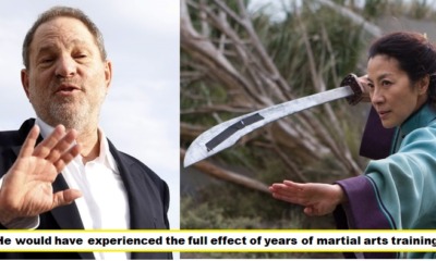 Michelle Yeoh Would've Whooped Harvey Weinstein's Ass if He Ever Laid a Finger on Her - WORLD OF BUZZ 6
