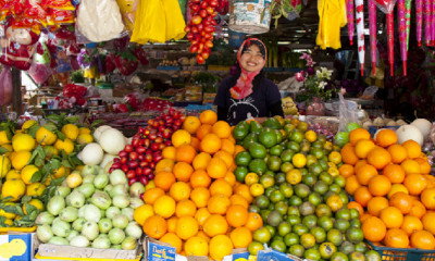 Minister Says Cameron Highlands Fruit Was Rejected for Having Genetic Modifications - WORLD OF BUZZ 2