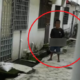 M'sian Encounters Pervert Masturbating At Back of Her House Who Refuses to Leave - WORLD OF BUZZ 5