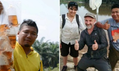 M'sian Who Dropped Out of Secondary School Now Works with London's Natural History Museum - WORLD OF BUZZ 3