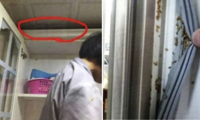 Vicious Couple Gets Back to Landlord by Putting Dead Fish Everywhere to Breed Maggots - WORLD OF BUZZ