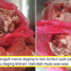 Here's What KPDNKK Has to Say About Viral Status of Mystery "Pork" Meat - WORLD OF BUZZ 4