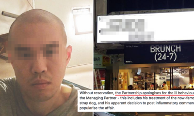 Here's What The Cafe In PJ Under Fire Has To Say About Their Managing Partner's Abuse Towards The Stray Dog - WORLD OF BUZZ 12