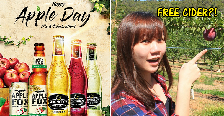 It's Now Harvest Season and You Can Experience Apple Picking Right Here in Malaysia! - WORLD OF BUZZ 1