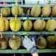 Lawmaker Wants "Durian Discount Cards" for Penangites Due to Increasing Prices - WORLD OF BUZZ 1